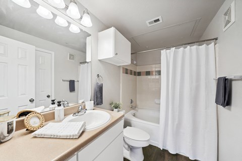 a bathroom with a sink and a toilet and a shower