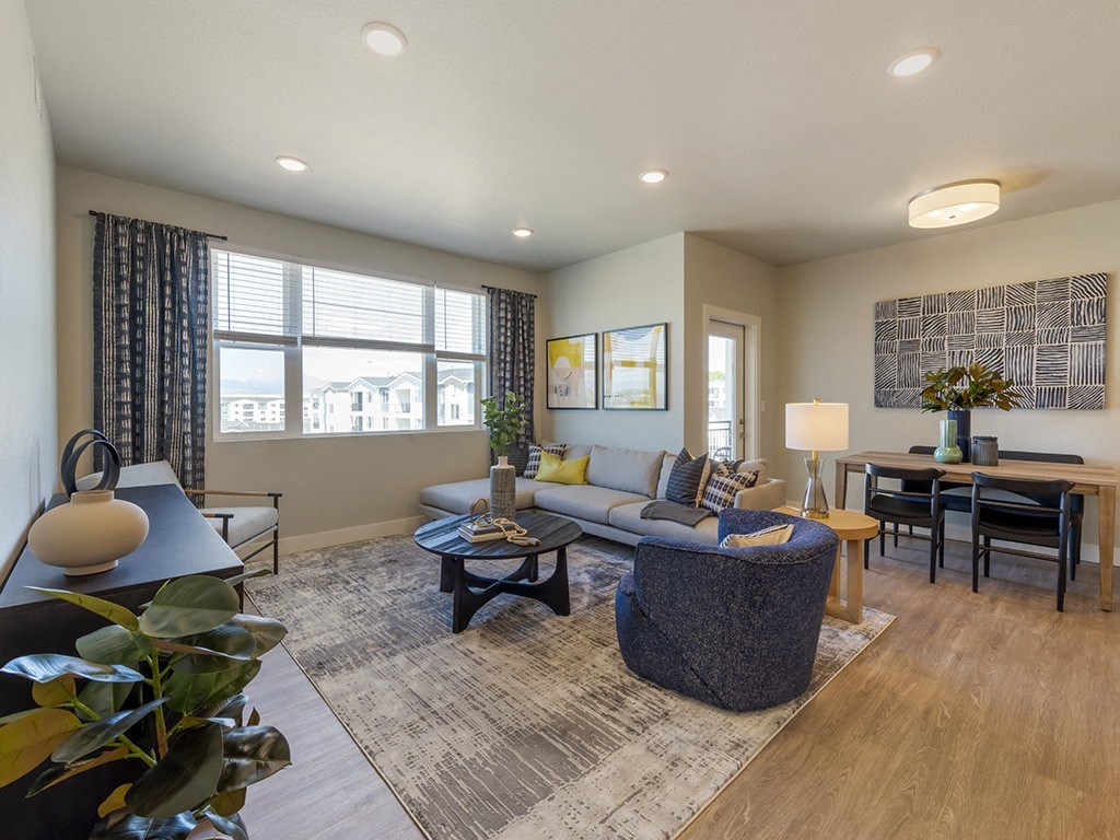 A living room with a grey sofa and a grey rug.