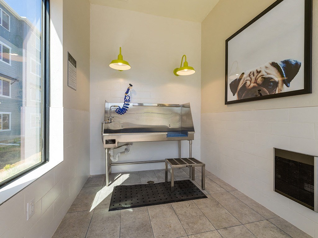 A kitchen area with a sink, stove, and a window.