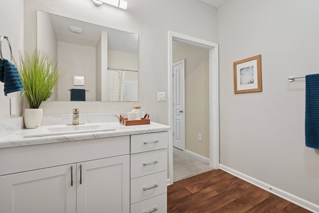 A bathroom with a white sink and a mirror above it.