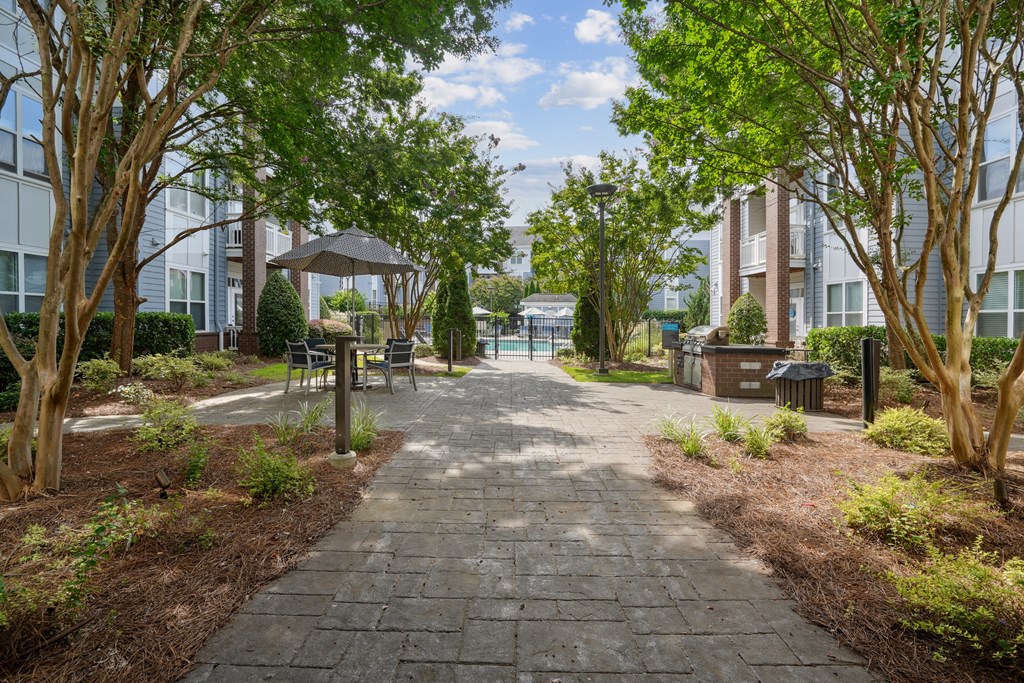 A walkway with trees on either side leads to a building.
