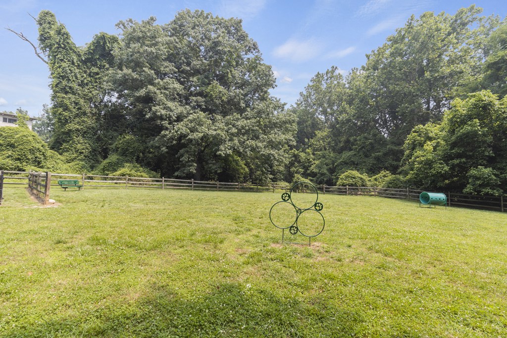 a bike in the middle of a field