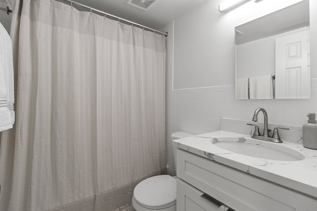 a bathroom with a sink and a toilet