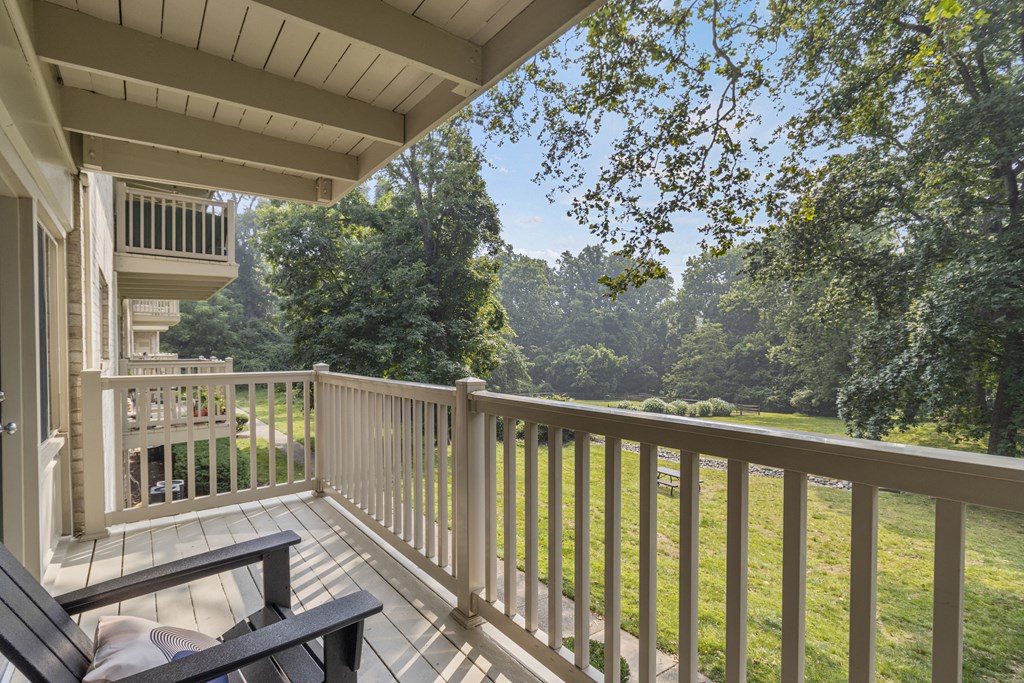 a view of the yard from the deck