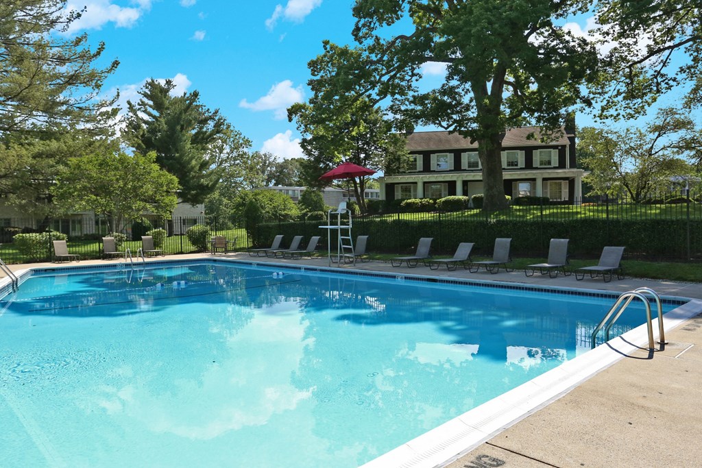 Pool surrounded by trees