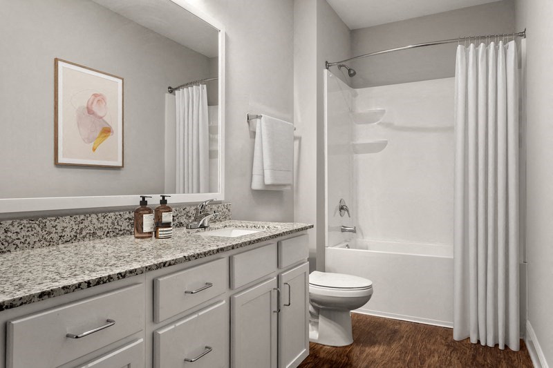 our apartments offer a bathroom with a bathtub