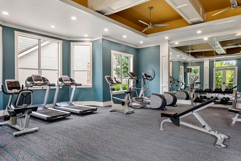 a gym with treadmills and other exercise equipment