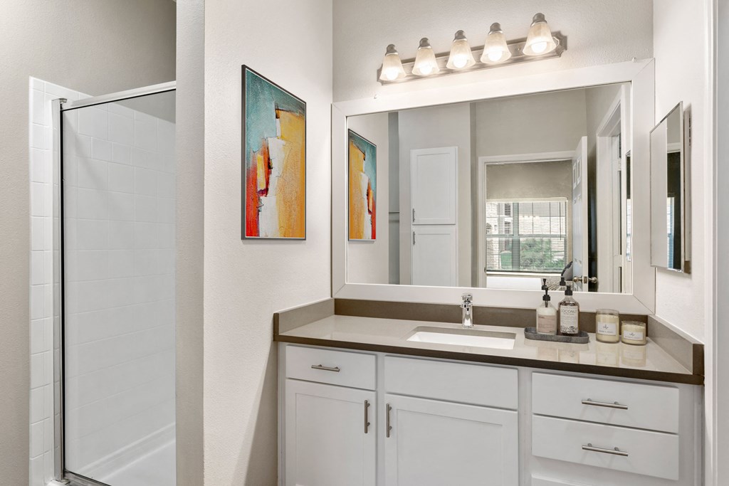 a bathroom with a sink and a mirror and a shower