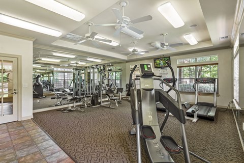 A gym with treadmills, weights, and exercise equipment.