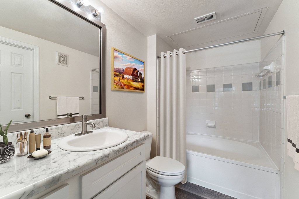 a bathroom with a shower toilet and sink and a mirror