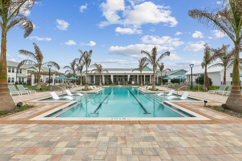 A large swimming pool surrounded by palm trees and lounge chairs.