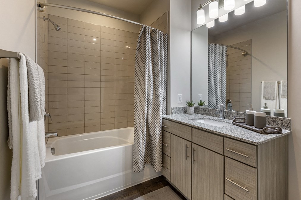 Hudson 5401 apartments bathroom