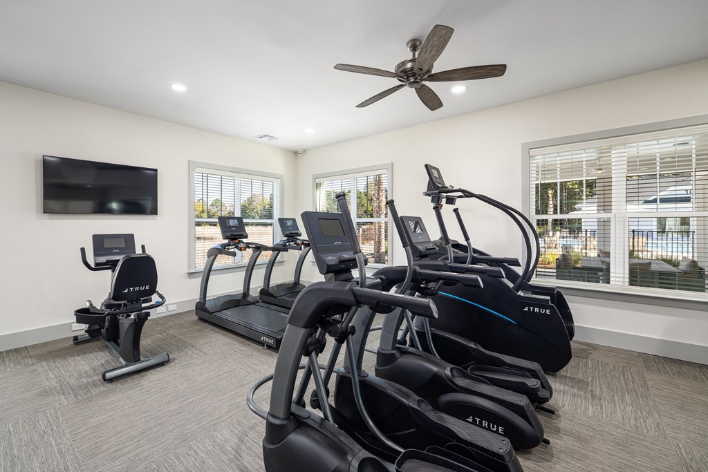 the gym has plenty of cardio equipment and a tv