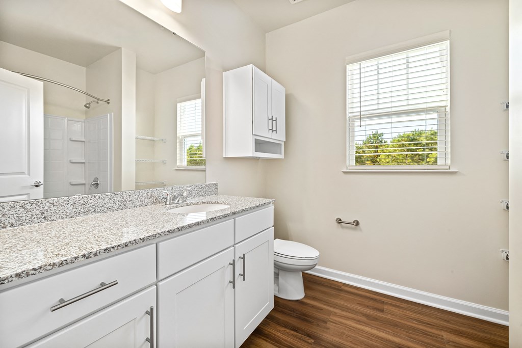 a bathroom with a sink and a toilet and a window