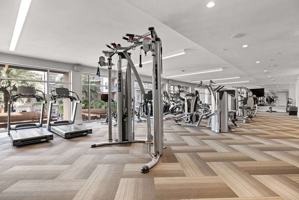 A gym with treadmills, weights, and exercise machines.