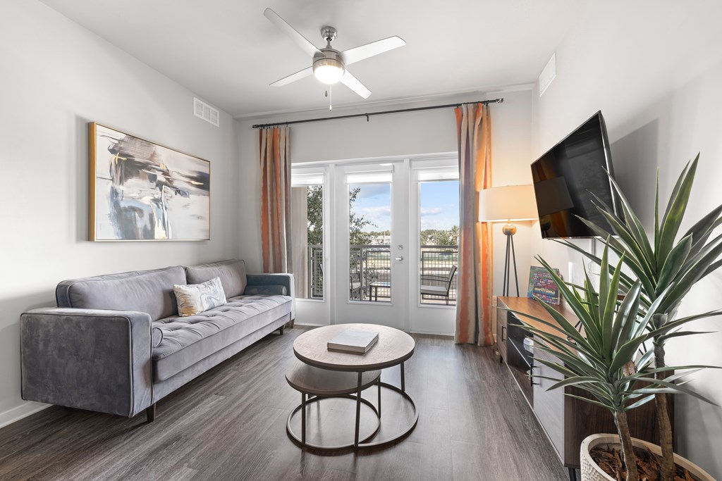 A living room with a grey couch, a coffee table, a television, and a plant.