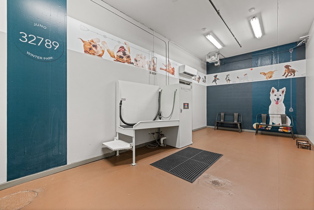 A room with a dog on the wall and a machine in the middle.