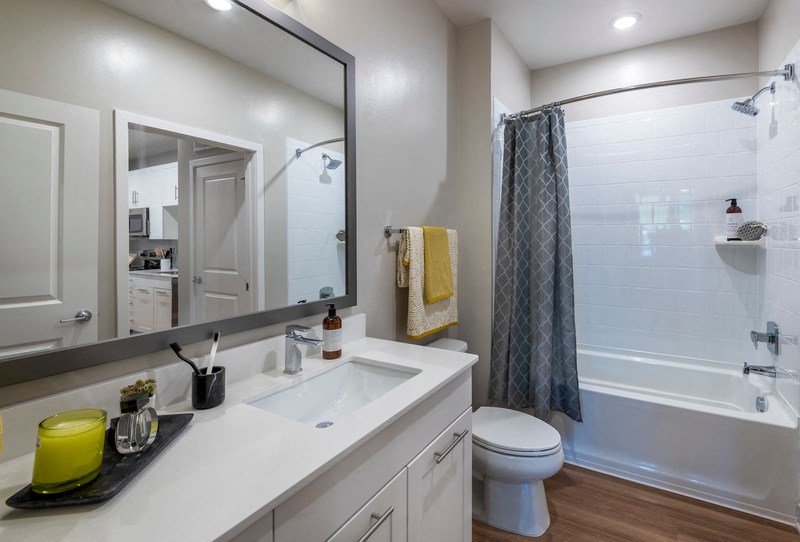a bathroom with a sink and a shower and a toilet