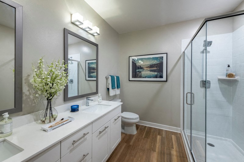 a bathroom with a shower and a sink and a mirror