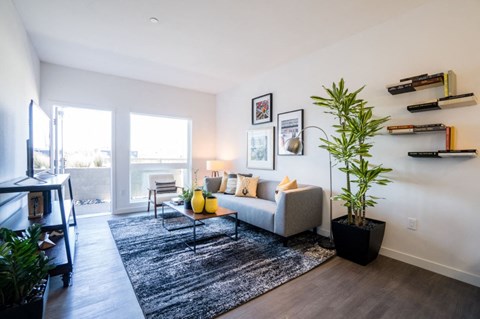 a living room with a couch and a rug