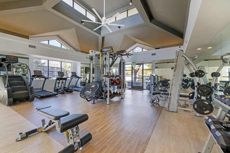 the gym is equipped with a variety of weights and machines
