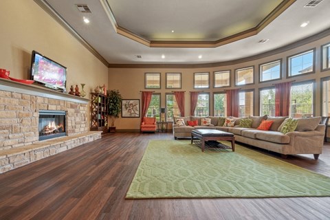 a living room with a fireplace and couches and a rug