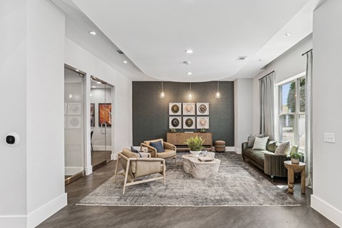 A modern living room with a grey rug and a grey sofa.