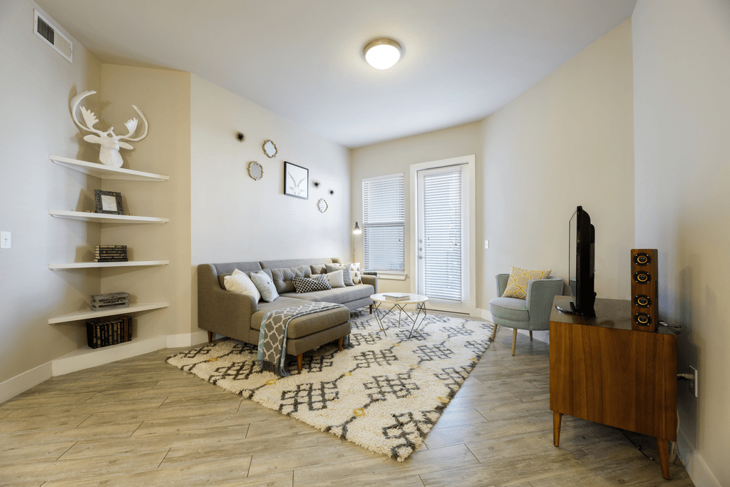 A living room with a couch, chair, and a rug.