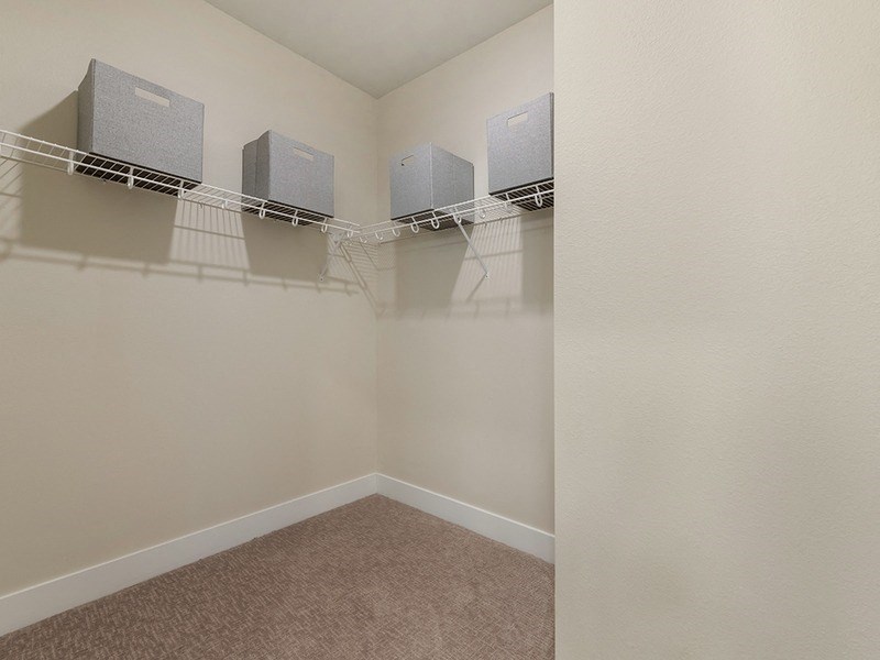 our spacious closets in the living room of a home with carpet