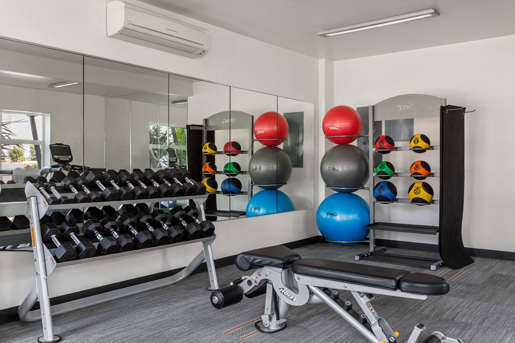 a gym with weights and a row of spheres on the wall