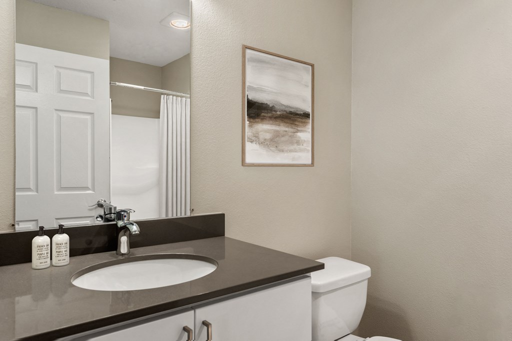 a bathroom with a sink and toilet and a mirror