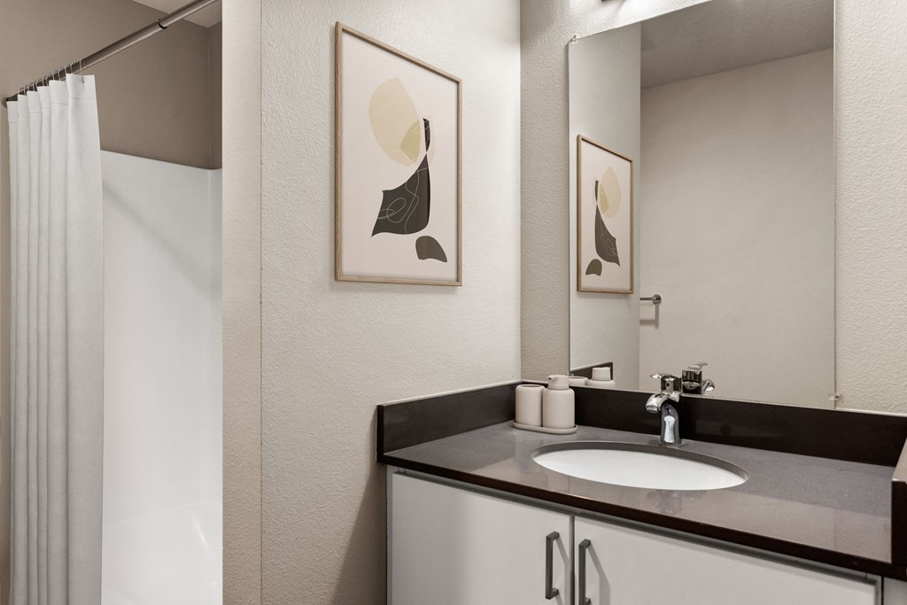 a bathroom with a sink and a mirror and a shower