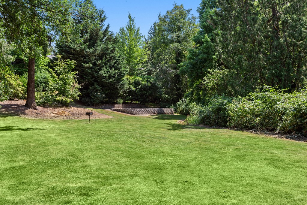 a large yard with a stone wall and trees