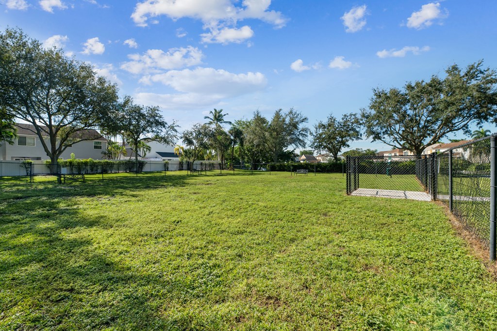 A grassy field with trees and a fence in the background.