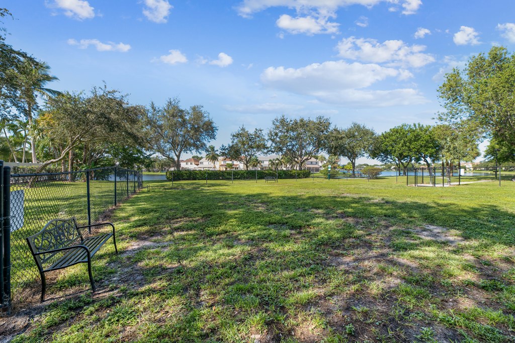 A park with a bench and trees.