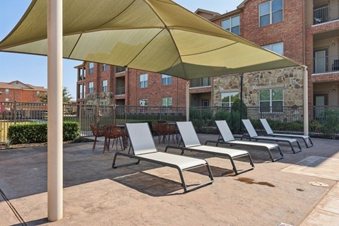 A row of sun loungers are covered by a large umbrella.