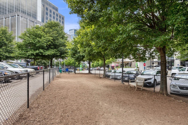 a park with a fenced in area and trees