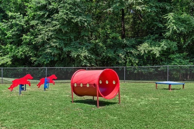 ParkatSteeleCreek_DogPark