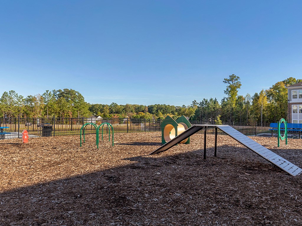dog park