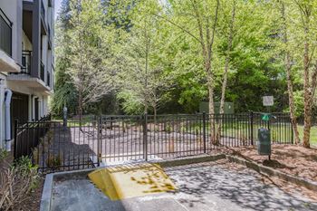 Bark Park at Bell Perimeter Center, Atlanta, Georgia