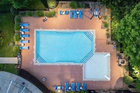 An aerial view of a swimming pool surrounded by lounge chairs and trees.