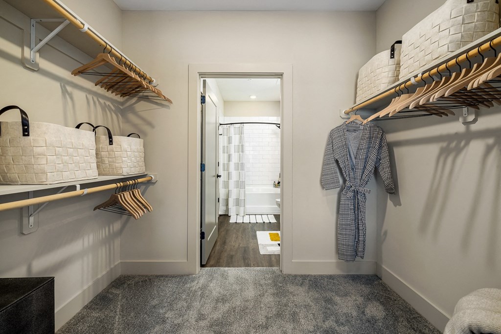 interior model walk-in closet