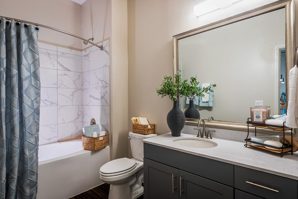 Reserve at Spring Creek Bathroom