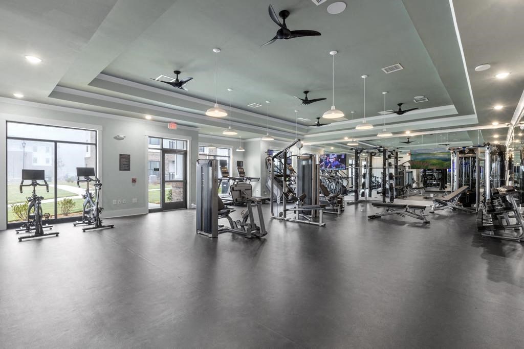 the gym is equipped with a variety of exercise equipment