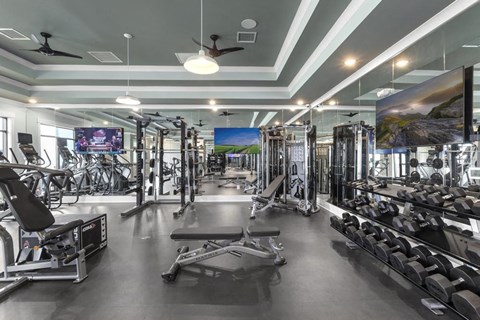 a gym with weights and cardio equipment and paintings on the wall