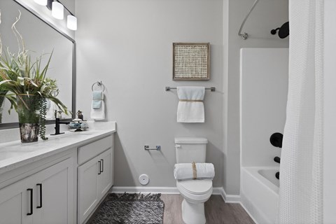 toilet in white bathroom