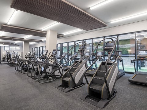 stairmasters in fitness center