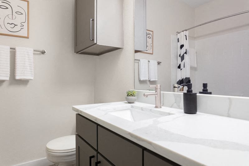 Riata_Furnished Model