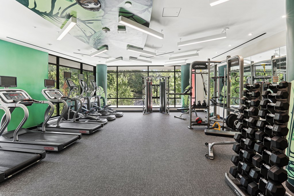 the gym at the runnymede on best student halls of fame