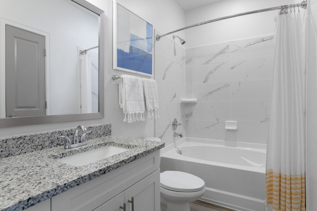 Satori Town Center Model Bathroom